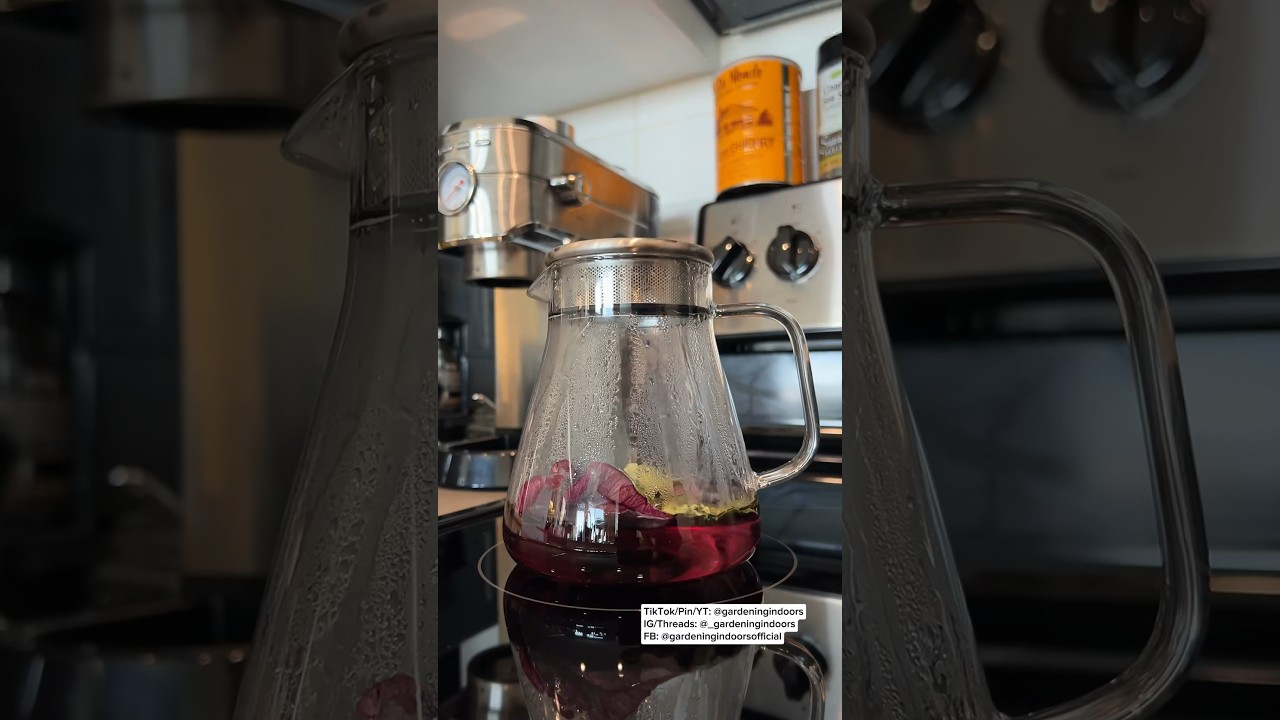 Dried Hibiscus & Holy Basil Tea