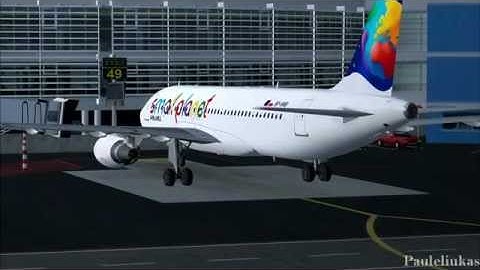 aircraft docking guidance system