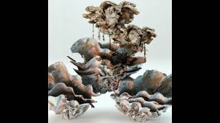 Windbreak w/ bod [包家巷](16/02/23)