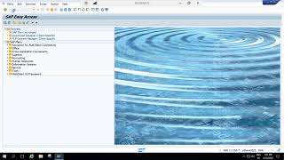 vendor master creation in SAP S4 HANA(Day 6)