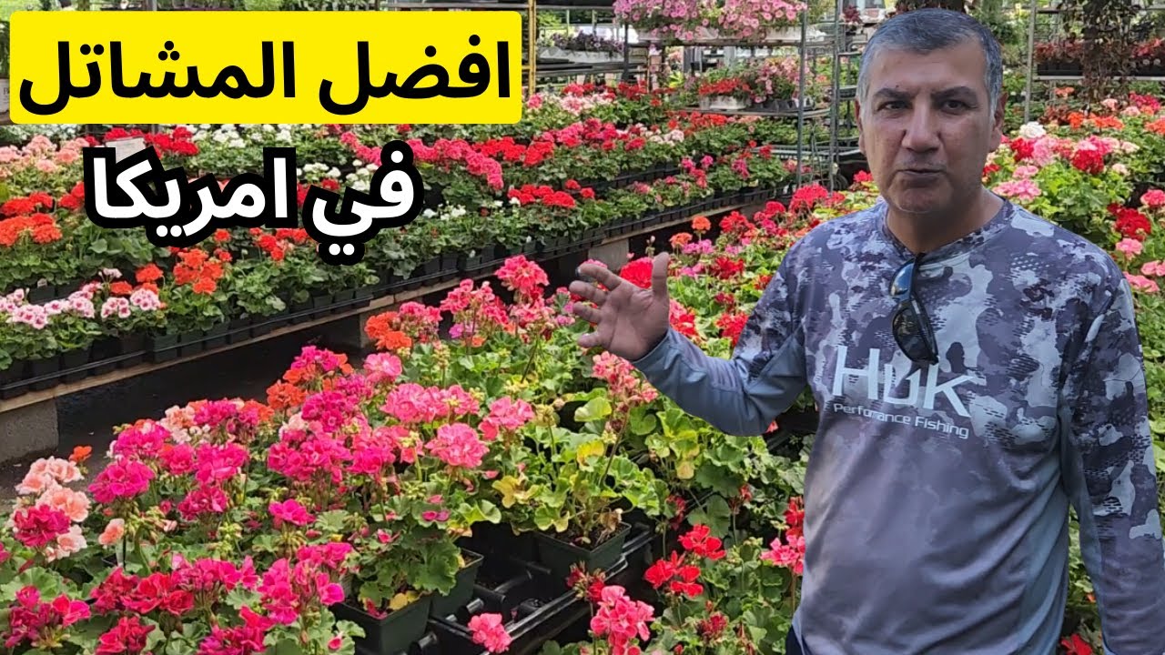 امريكا - جولة في اشهر وافضل المشاتل