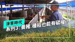 【好我來告訴你】自願減碳賺碳權養豬、種稻也能加入碳市場阿聰解釋性報導X專題 (公視我們的島 第1234集 20231211)