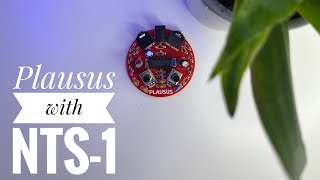 Plausus