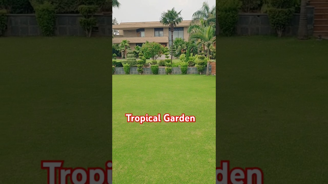 Tropical house lawn  
