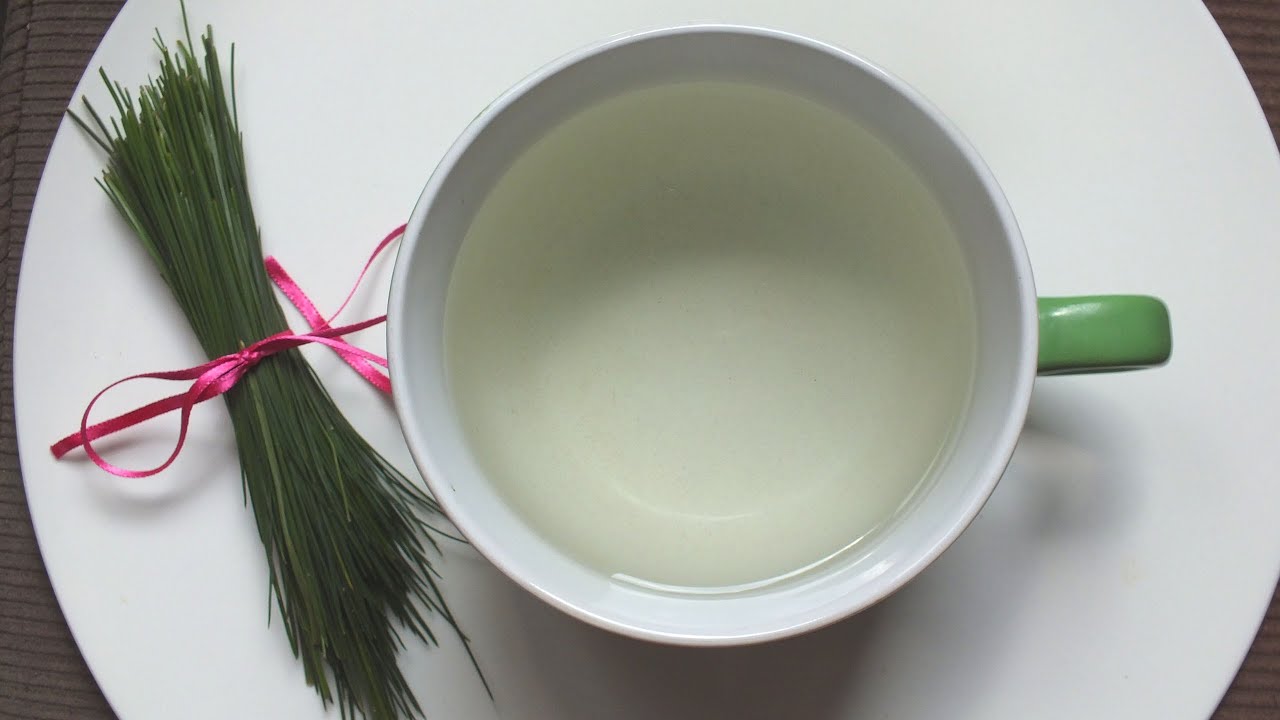 🌲Foraging Video: White Pine Needle Tea 🍵 Rich in Vitamin C 💚Vegan Wildcrafting🌿Plant Based Wild Food