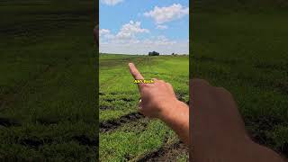 My Field Flooded and Ruined Hay (10" of Rain!)