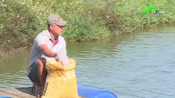 Nuôi cá trên cao nguyên B