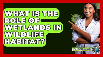 What Is The Role Of Wetlands In Wildlife Habitat? - Earth Science Answers