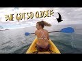 Kayaking with HUGE whales in Hawaii!! (Days 3+4) | Summer Mckeen Vlogs