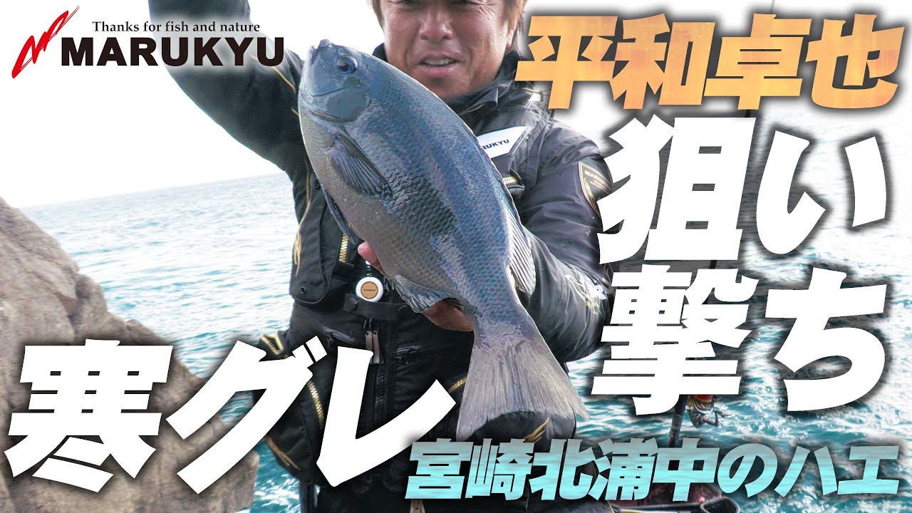 寒グレ狙い【必見】平和卓也 磯際勝負を制する