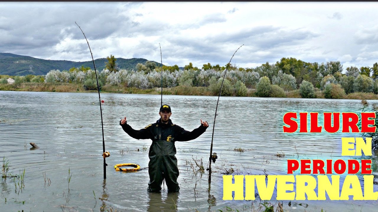 Pêcher le SILURE en HIVER dans le RHONE, possible? comment? / période de crue !