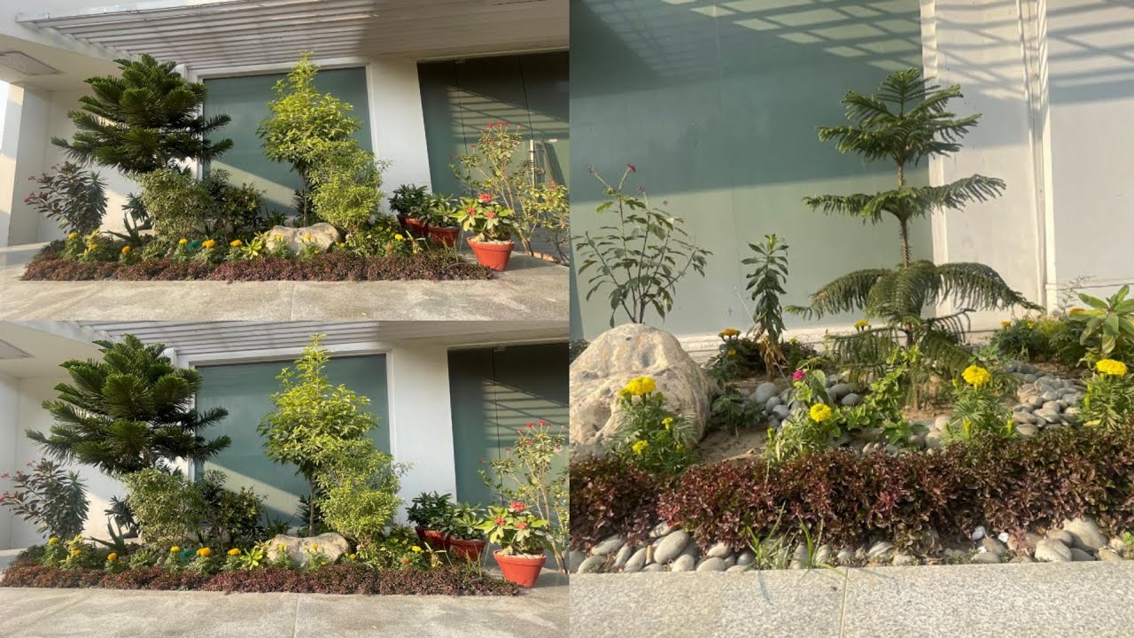 Smart Idea of outside office Gardening.SA plants info