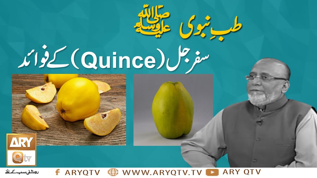 Tib e Nabvi S.A.W.W | Benefits Of Quince | SafarJal Ke Fawaid | Hakeem Abdul Basit | ARY Qtv