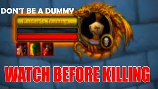 Watch THIS Before Killing A Training Dummy (Extra Footage) - Molten WoW
