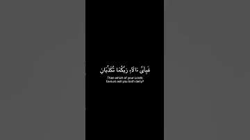 من سورة الرحمن بصوت الشيخ ياسر الدوسري 