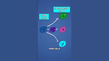 Scientists Reverse Cancer Back to Healthy Cells