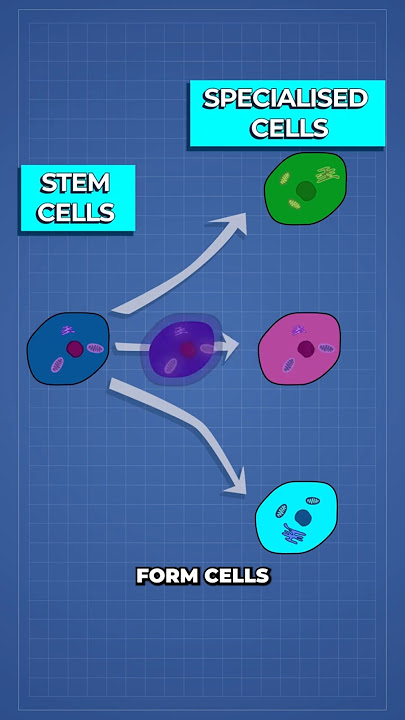 Scientists Reverse Cancer Back to Healthy Cells