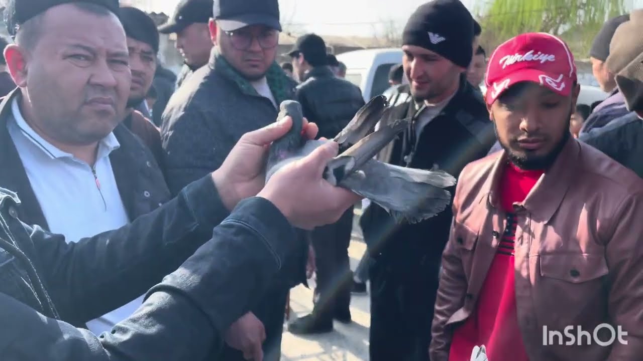 😱ДАХШАТ ХОЗИРОҚ КЎРИНГ! ЖИЗЗАХ КАПТАР БОЗОРИ.22.02.2026