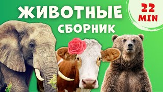 СБОРНИК - Как говорят животные Звуки животных Домашние животные для детей Корова Лошадь Медведь Слон