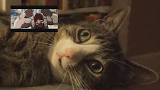 Cat Reacts To  Doomfist Origin Story | Overwatch