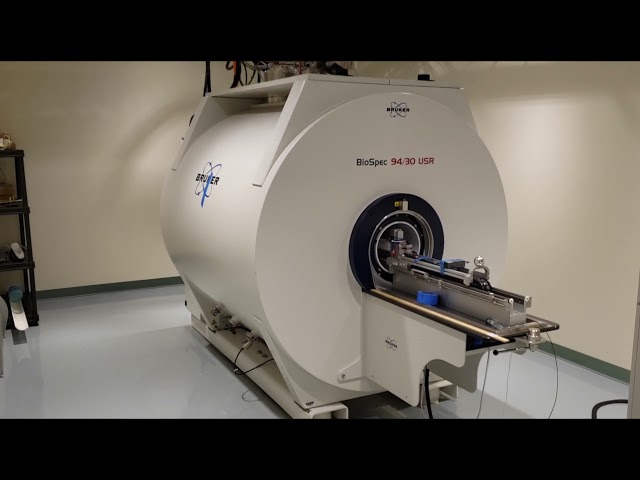 BIC 9.4 Tesla MRI scanner - YouTube