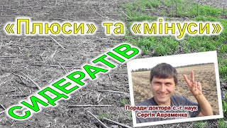 картинка: Плюси та мінуси сидератів