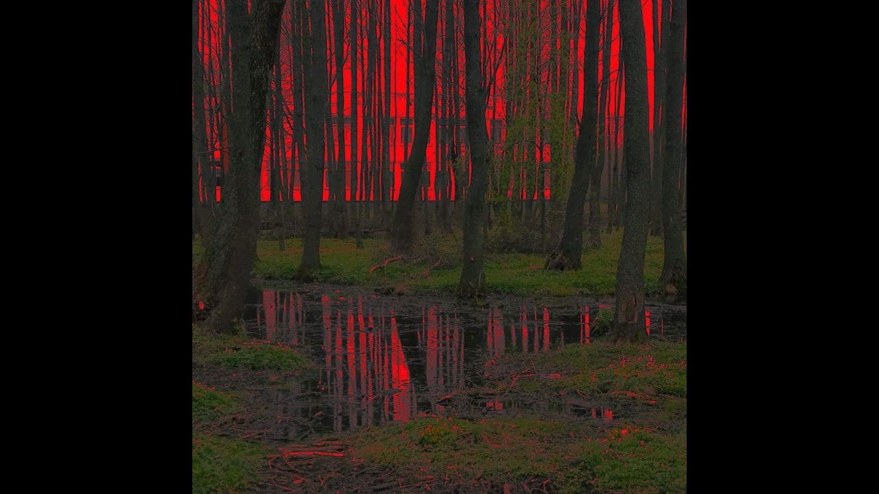 DEADVALENTINE - paper dolls with beating hearts