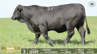 Lote 3 - Q32F