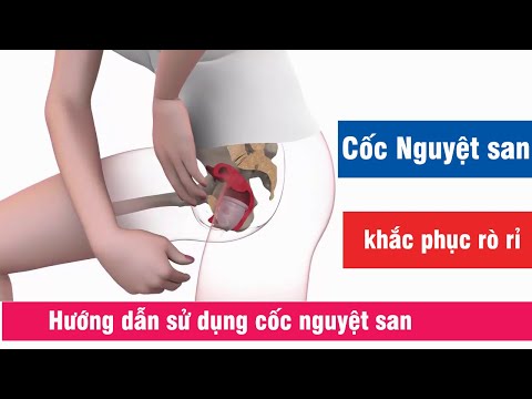 Video Cách Sử Dụng Cốc Nguyệt San Và Khắc Phục Rò Rỉ - Sử... - youtube