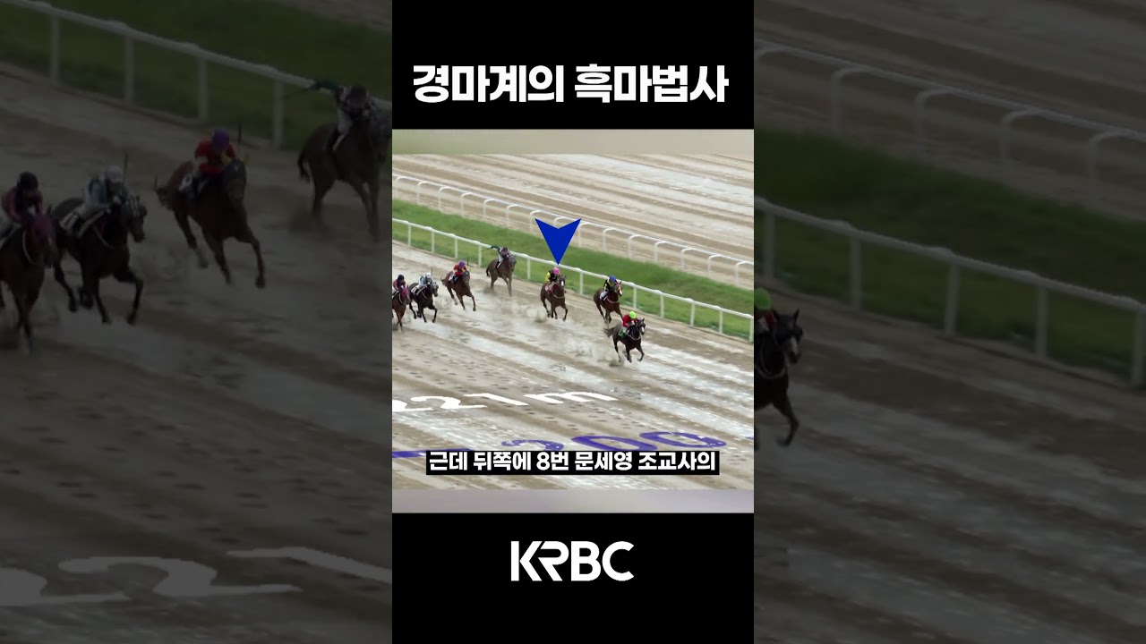 경마계의 흑마법사 #shorts #경마방송 #기수 #경주마 #경마 #KoreaHorseRacing