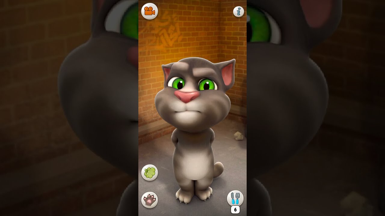 Talking Tom Cat Part 13470  Shorts