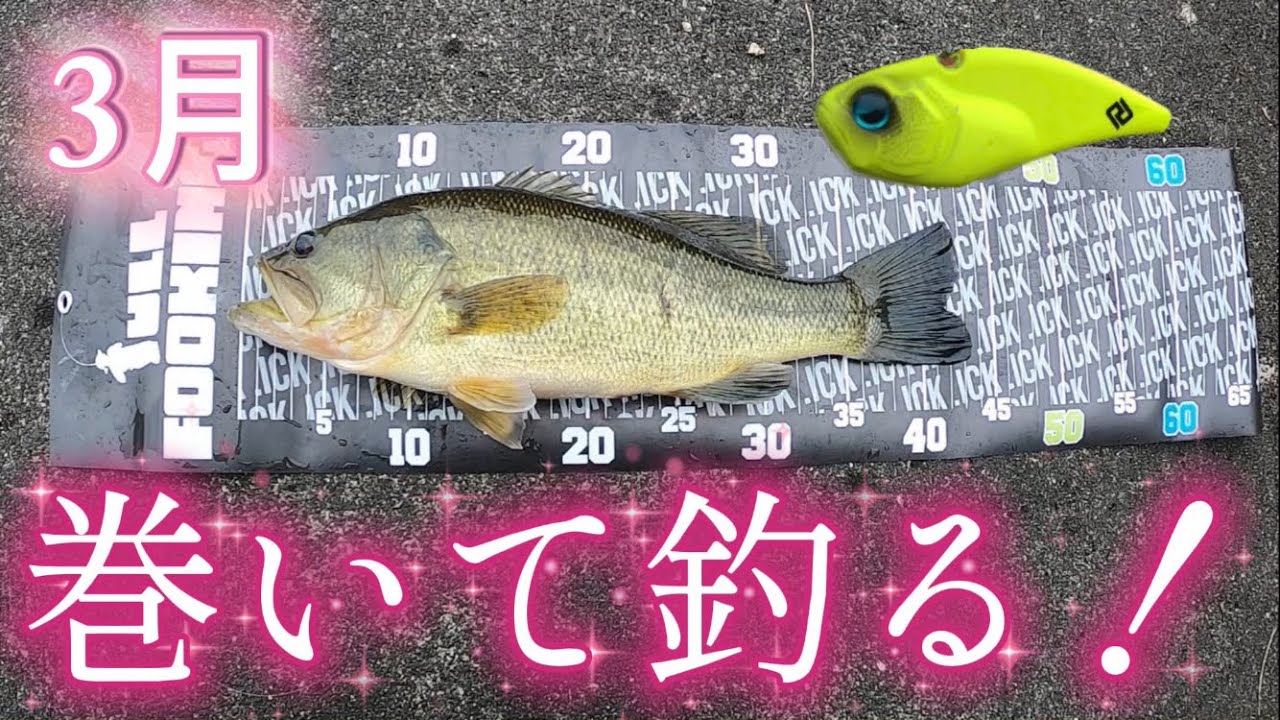 【バス釣り】3月釣れてるぜ！【岡山バス釣り】