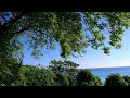 Unberührte Küstennatur: Bäume, Vegetation und Meeresblick. Insel Rügen, Sea View
