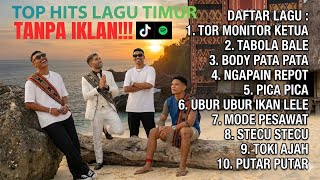 Download Lagu Top Hits Lagu Timur 🎶 Enak Didengar Seharian MP3