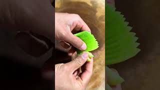 Master Culinary Art: Radish Knife Skills Unveiled