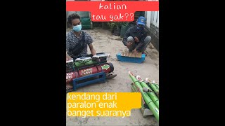 Pengamen bambu lagu campursari enak banget bambu Laras ngamen angklung sinden ngamen lagu dangdut