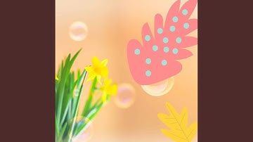 Cheerful Backdrops for Low Key Dreams