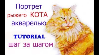 АКВАРЕЛЬ 2-урок: рисуем РЫЖЕГО КОТА, как поэтапно рисовать животного красками АКВАРЕЛЬ 2-урок: рисуем РЫЖЕГО КОТА, как поэтапно рисовать животного красками