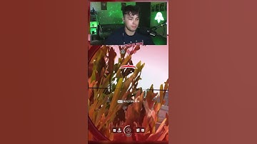 Xdefiant Death Scream