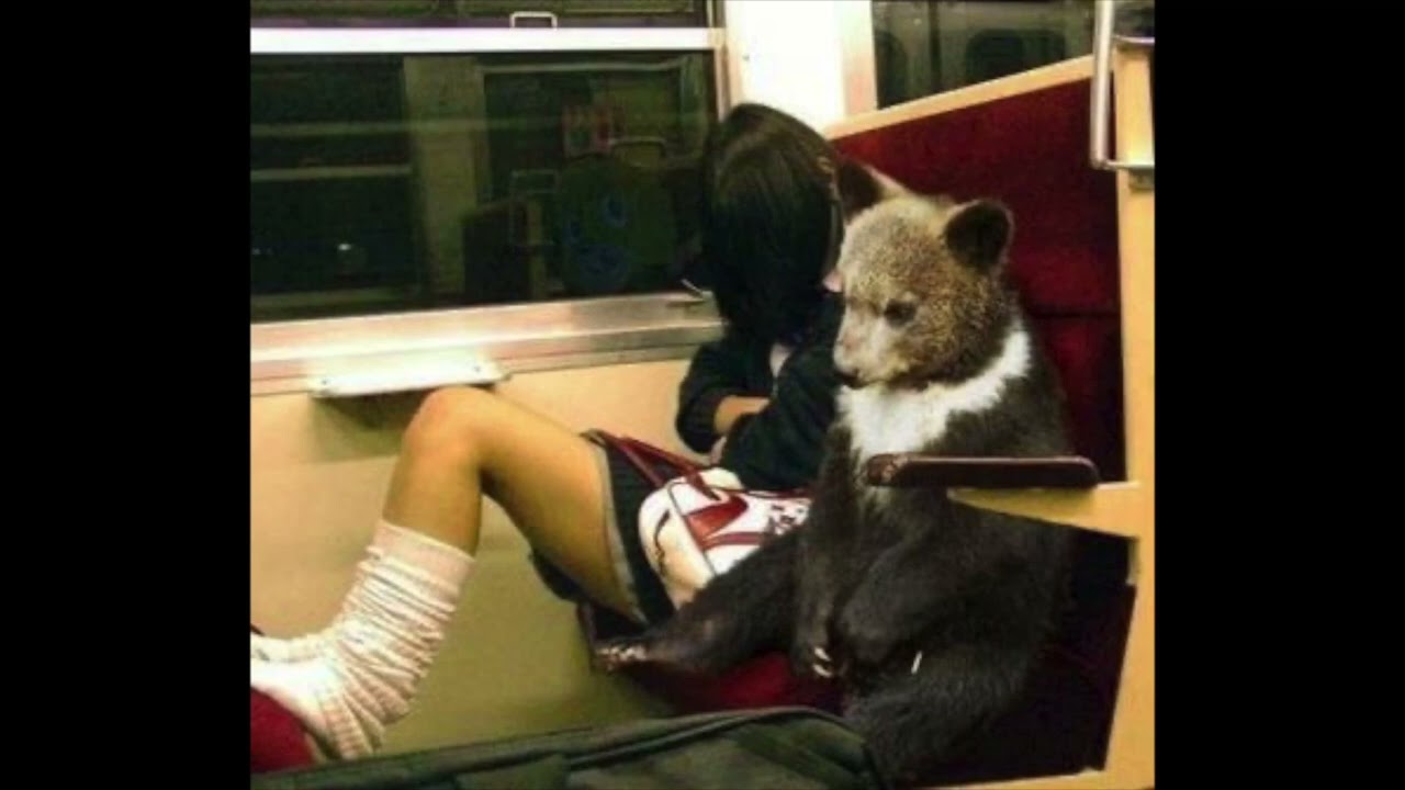 [free] nettspend type beat - "goals"