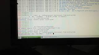 LSI MegaRAID SAS 9261-8i slowness and overheating