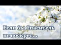 Красивая песня на Пасху "Если бы Спаситель не воскрес" Христианские песни МСЦ ЕХБ