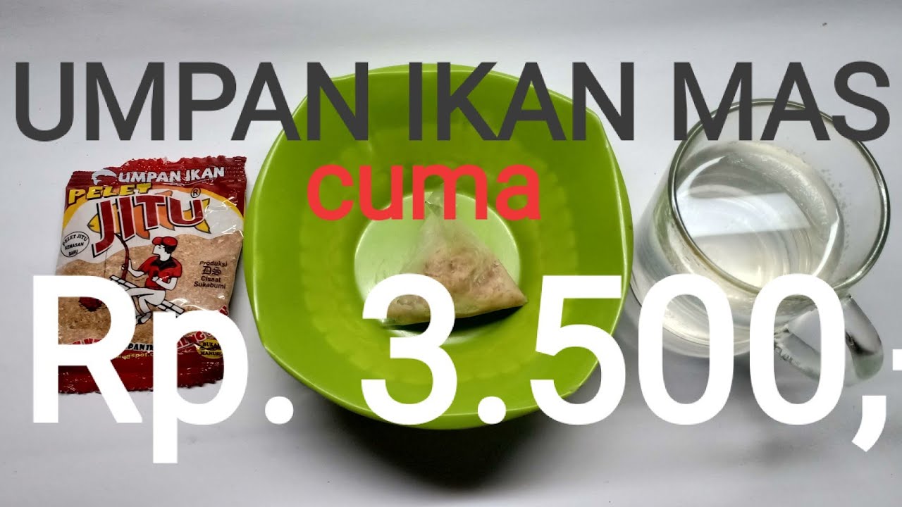 Umpan Ikan Mas Pelet Jitu, Murah tapi Ampuh