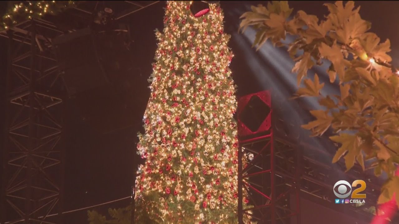 'Christmas At The Grove' Kicks Off With Tree Lighting, Festivities