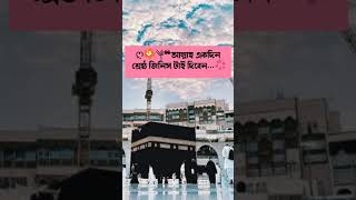 ইনশাআ্ল্লাহ। islamic short video। Islamic video। shortvideo shorts islamicstatus