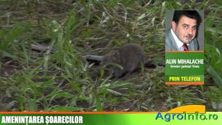 Jurnal De Stiri Agroinfo Tv - 17.10.2014