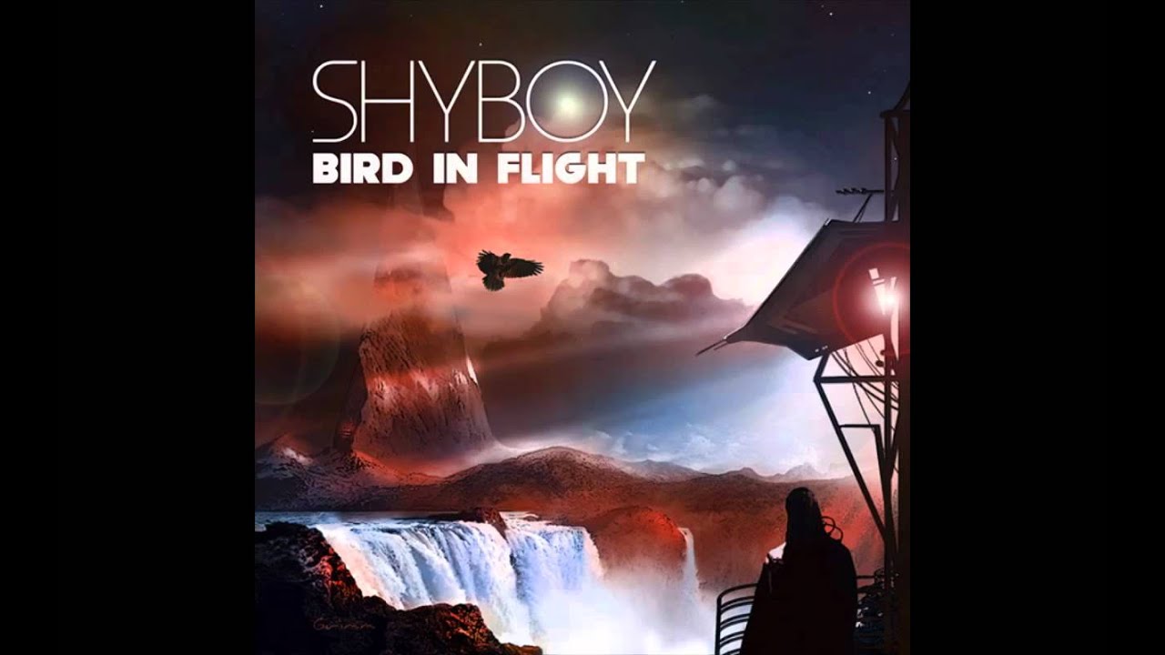 ShyBoy - Bird in Flight