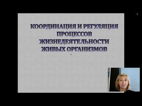 Регуляция и координация жизнедеятельности у животных