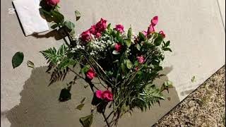 Famous KUYE- Sjava live (slowed& reverb) Profile