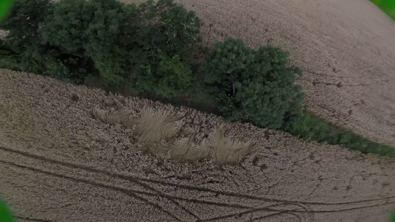 09072019 tattue rline 1550mah